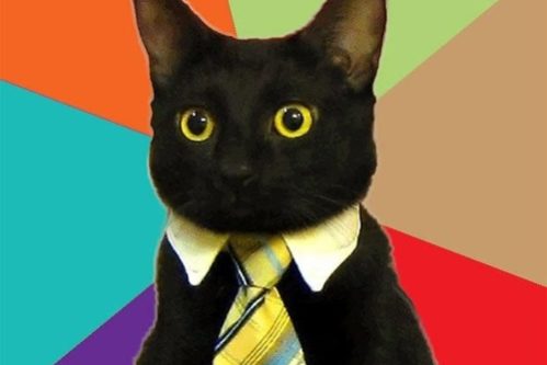businesscatmeme1