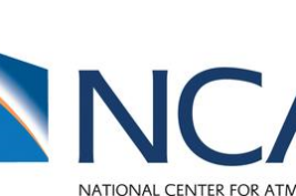 Associate Director/Lab Director, Computational and Information Systems Laboratory