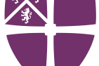 Research Software Engineering Assistant