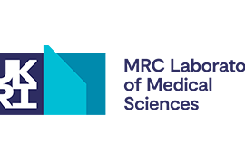 Senior Research HPC Engineer